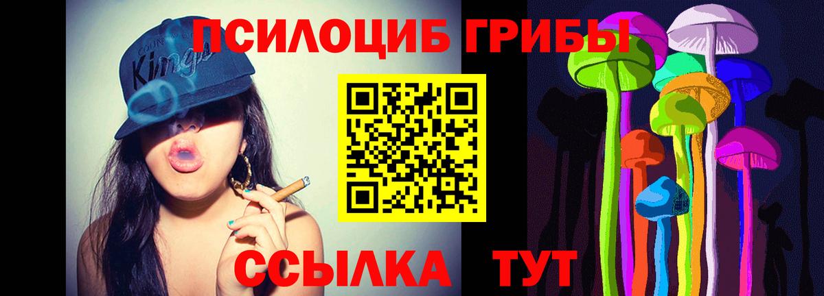 Хасавюрт  Галлюциногенные грибы мицелий  Вход с VPN 